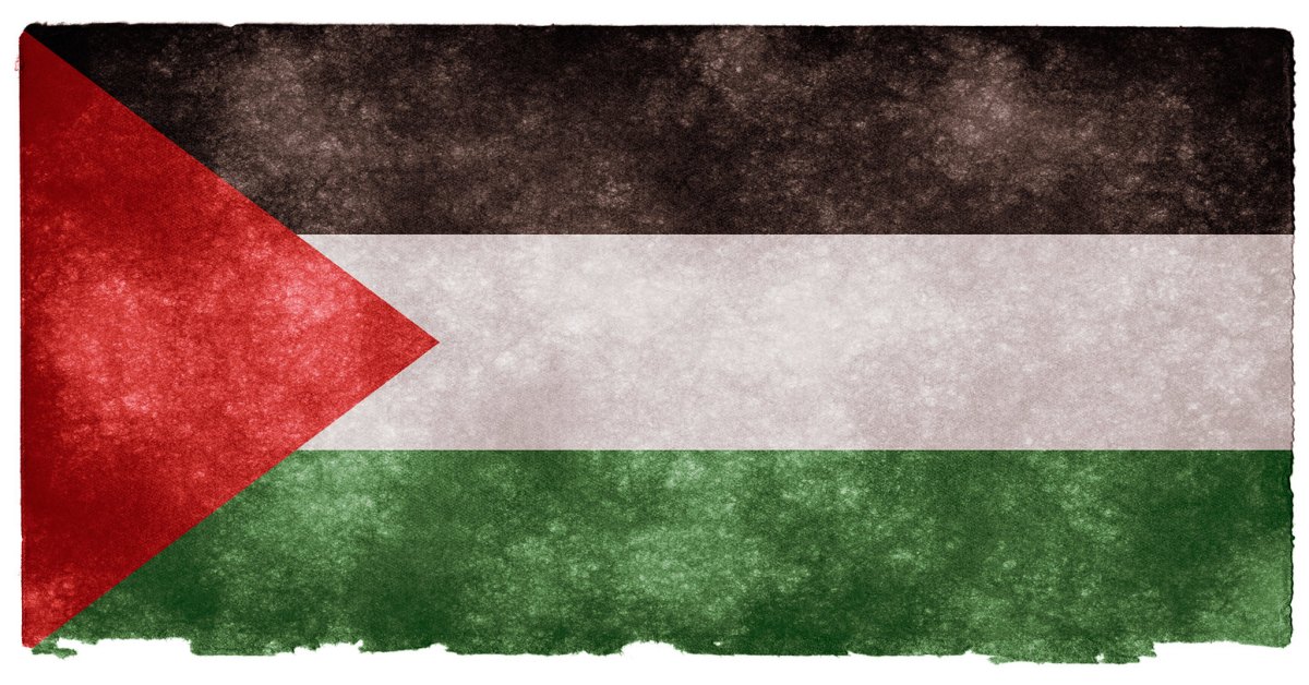Una bandiera della Palestina