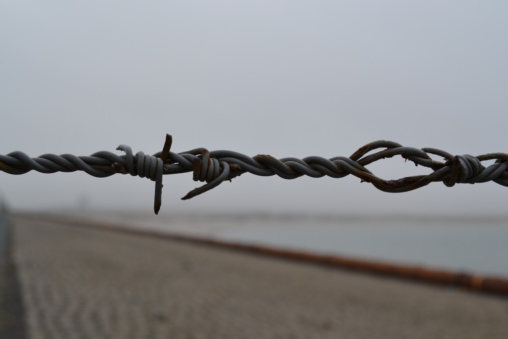 Un muro di filo spinato