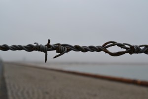 Un muro di filo spinato