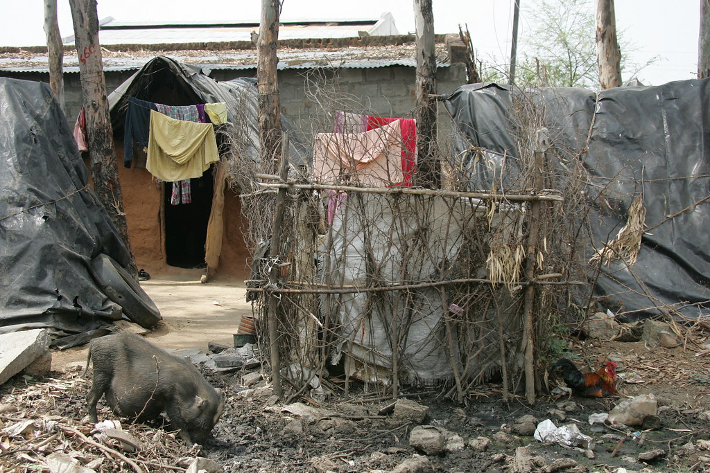 4882154176_e9f0324cee_b