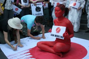 Anti-whaling