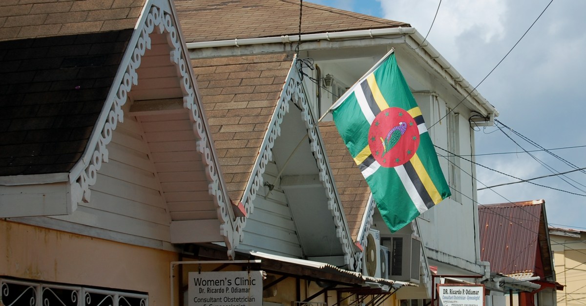 Elezioni Dominica