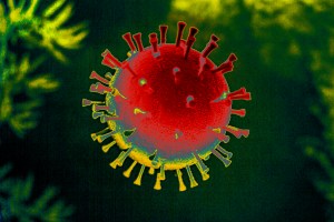 virus