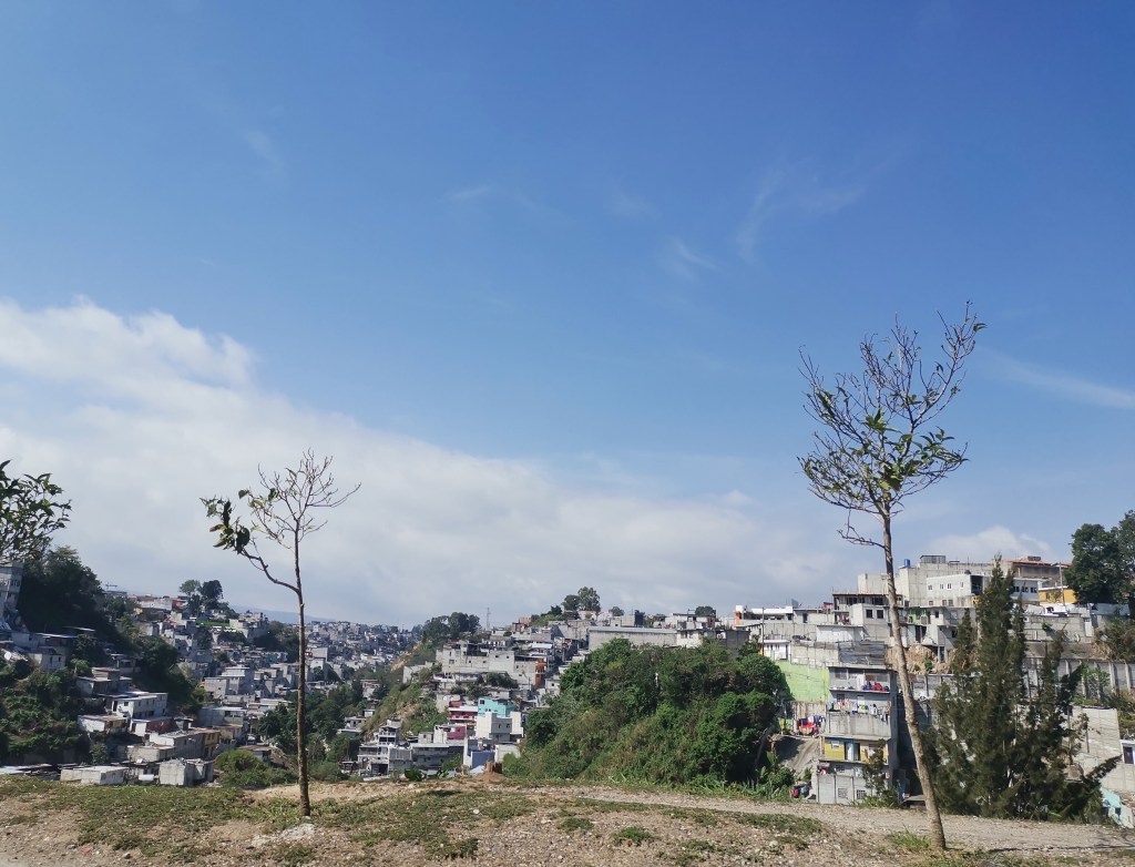 il radicamento delle maras