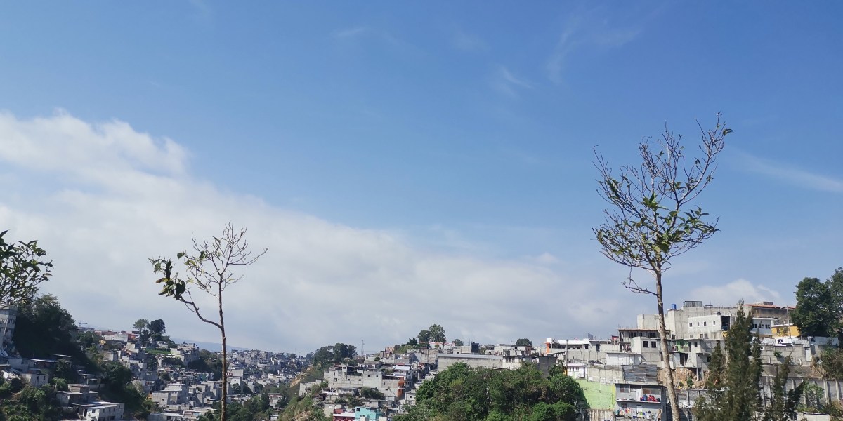 il radicamento delle maras