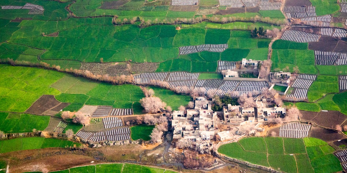 Afghanistan settore agricolo prospettive sviluppo economico