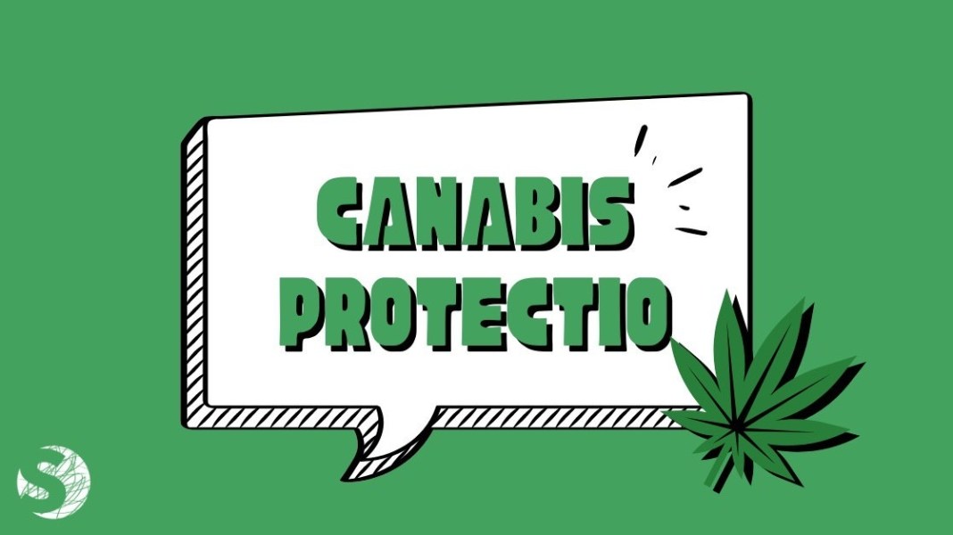 Canabis Protectio_LoSpiegone