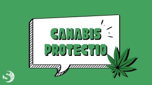 Canabis Protectio_LoSpiegone