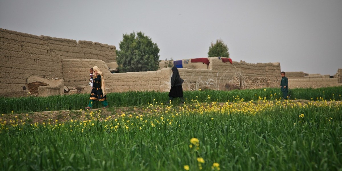 Afghanistan donne agricoltura