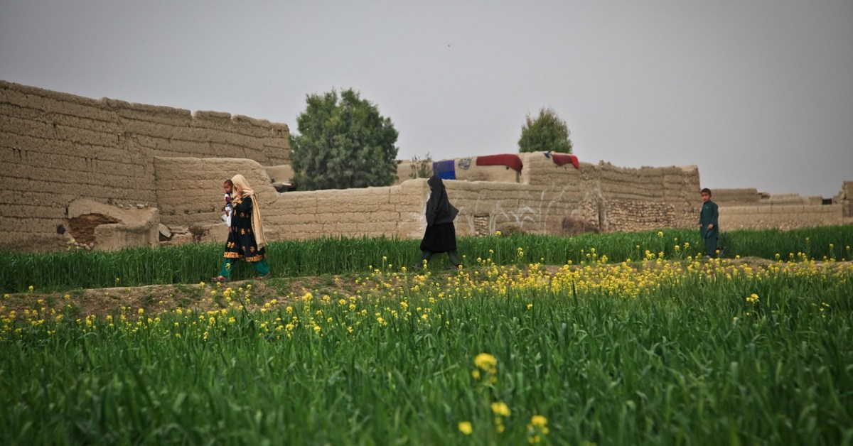 Afghanistan donne agricoltura