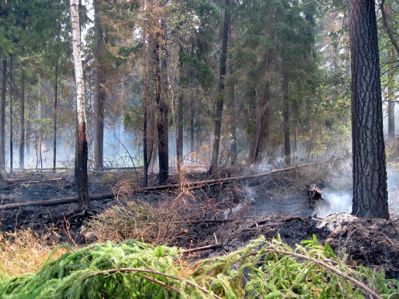 cambiamento climatico