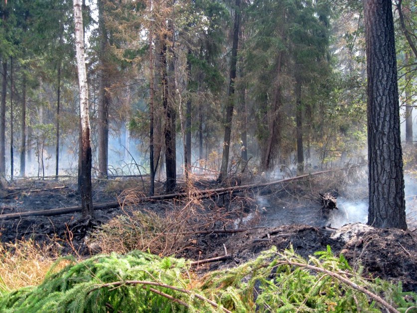 cambiamento climatico