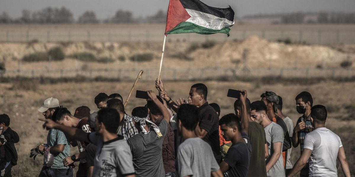 palestina bandiere proteste