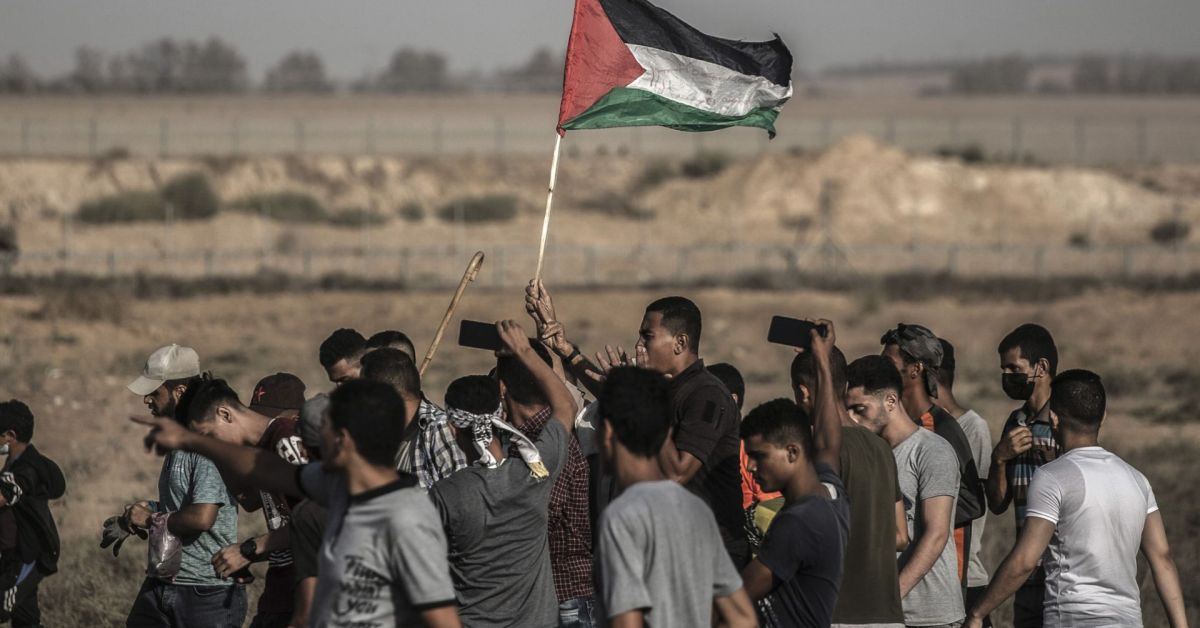 palestina bandiere proteste