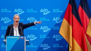 weidel afd