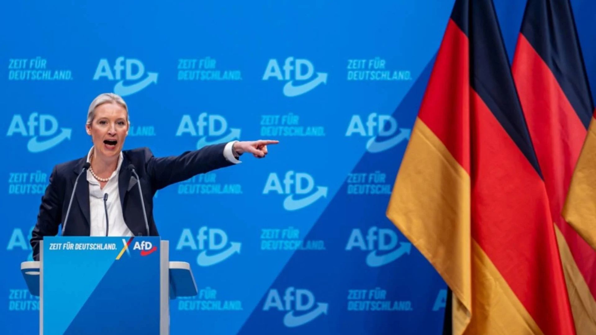 weidel afd