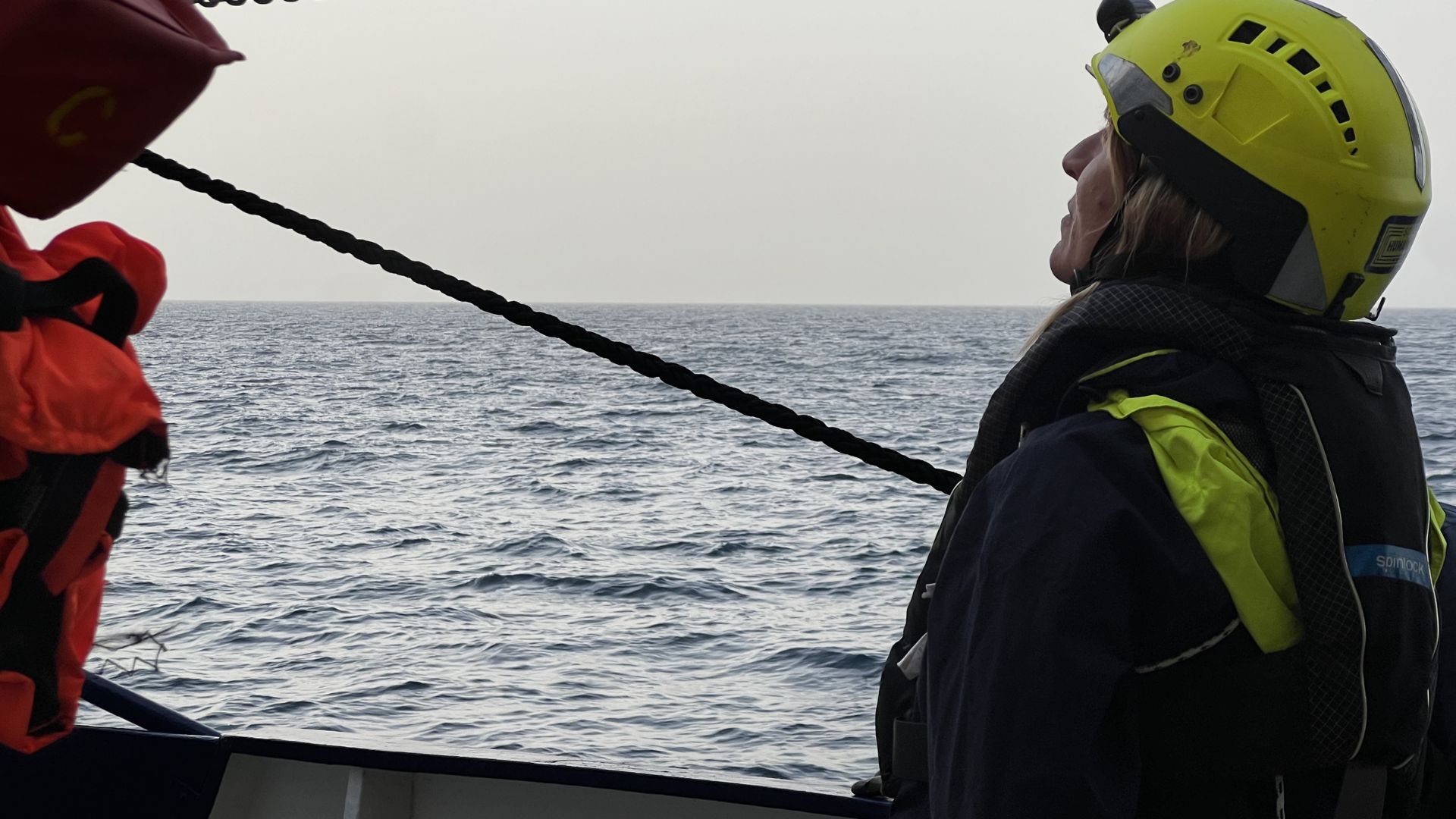 Viviana di Bartolo Humanity1