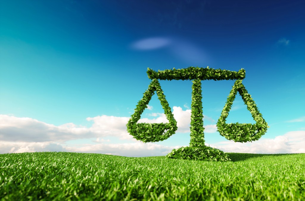 Climate litigations