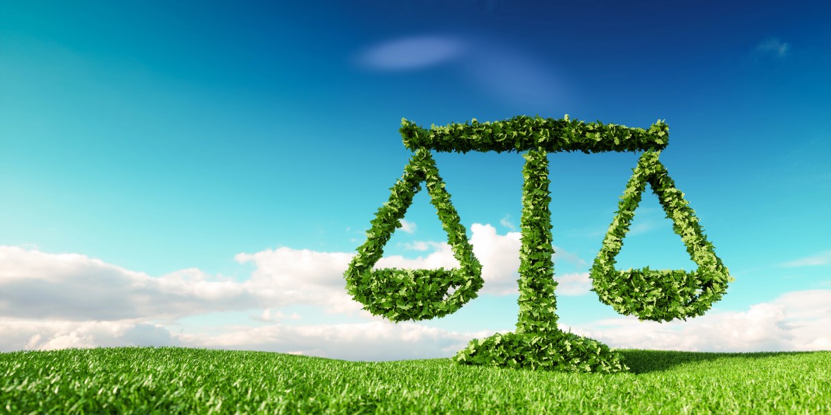 Climate litigations